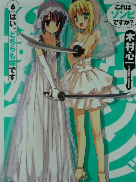 これはゾンビですか？６　木村心一(著)